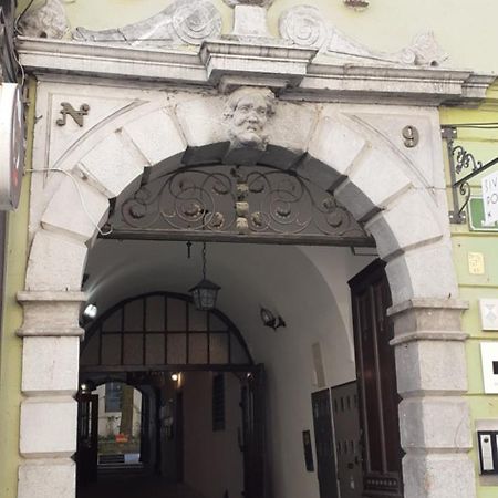 Lovely Old City-Center Apartment Любляна Екстериор снимка
