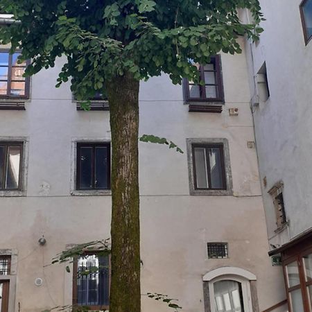 Lovely Old City-Center Apartment Любляна Екстериор снимка